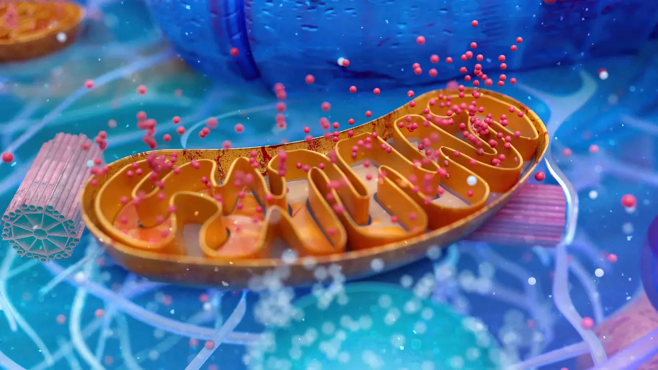 Illustration 3D d'une cellule biologique mitochondrie