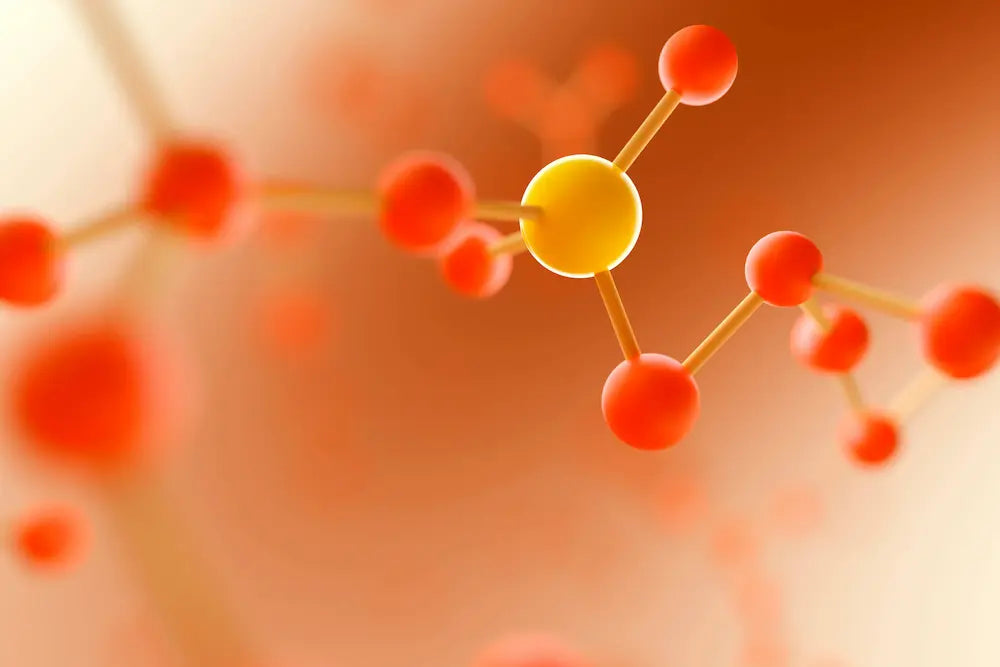 Illustration de représentation d'un ADN